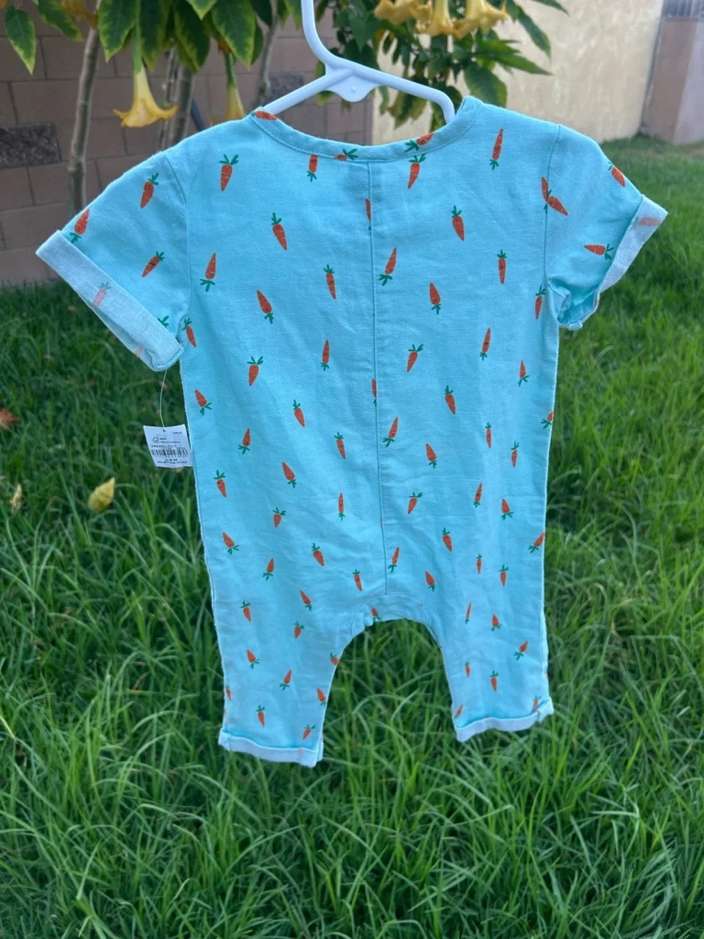 Old Navy Mint Green Baby Romper with Carrot Print